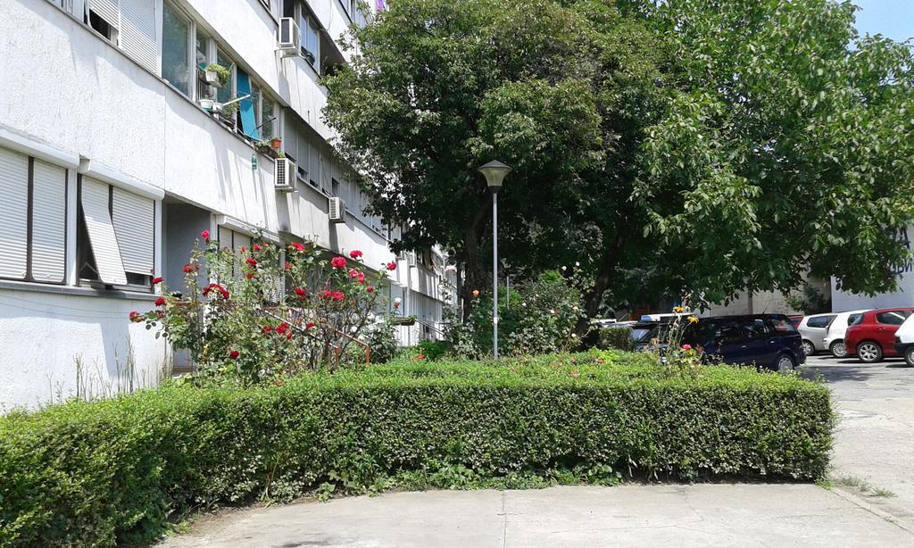 Apartment Daca Stan Белград Екстериор снимка